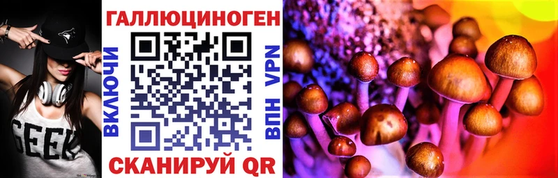 Псилоцибиновые грибы прущие грибы  купить  цена  Братск 